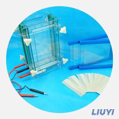 北京六一DYCZ-28D雙板夾芯式垂直電泳儀(大號)蛋白電泳儀