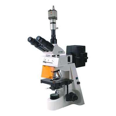 BM-19AYC熒光顯微鏡（電腦、落射）
