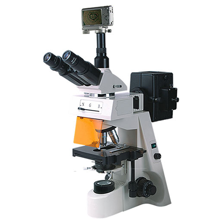 BM-19AYS熒光顯微鏡（數碼、落射）